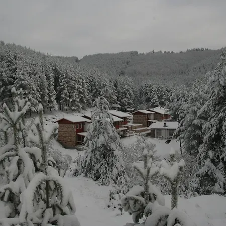 Prav Kamen