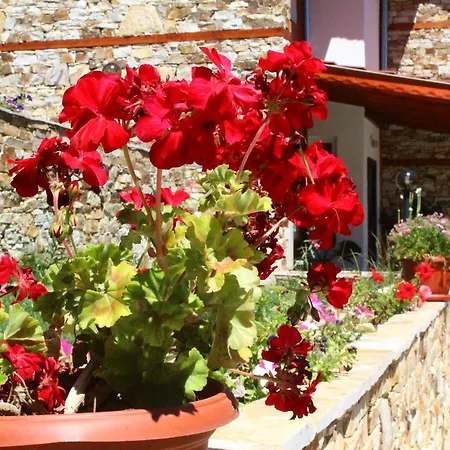 Maison d'hôtes Prav Kamen Dolno Dryanovo